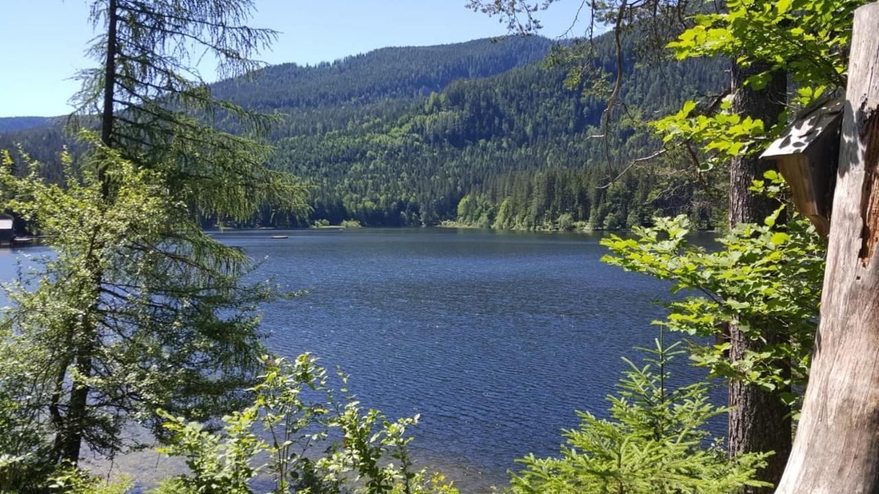 Ferienwohnung Grimmingblick - Auszeit Vom Alltag Obersdorf Kültér fotó